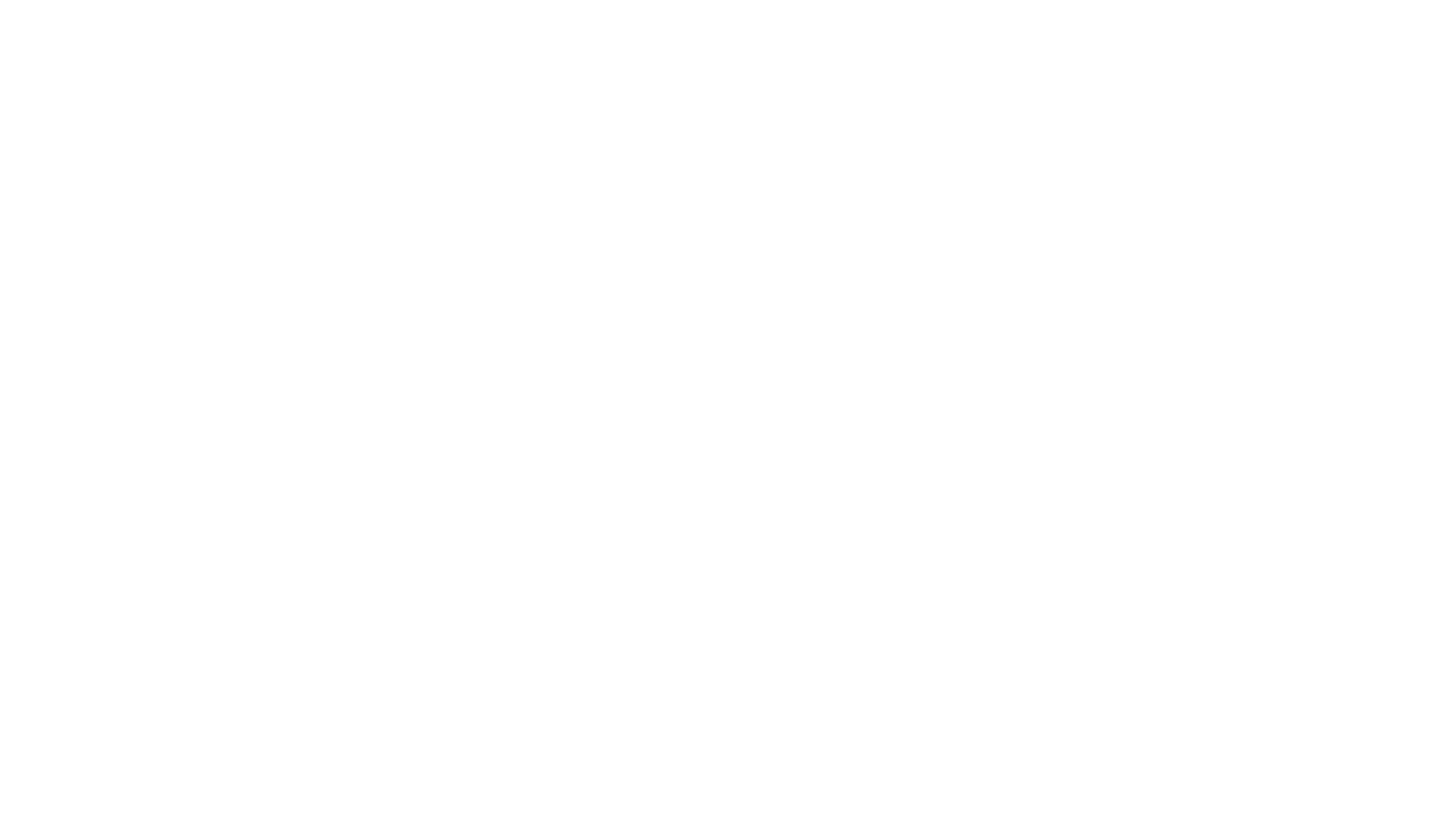Bl International